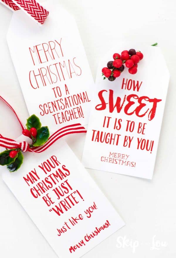 Super Cute and Easy Teacher Christmas Tags and Gifts Skip To My Lou