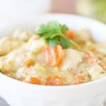 chicken and dumplings in white bowl with parsley on top