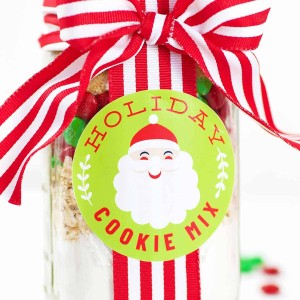 cookie mix in jar with santa label striped ribbon