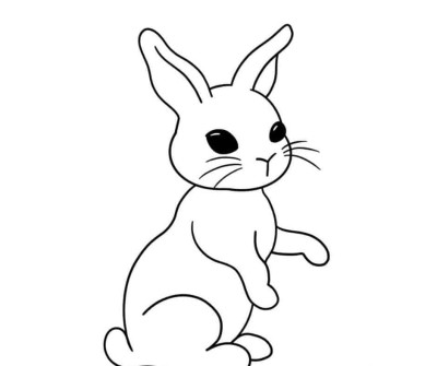 bunny drawing