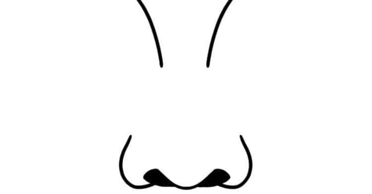 Featured image of post How To Draw A Nose For Kids Step By Step / Though drawing a nose may seem daunting at first, taking it step by step will make the process simple and fun.