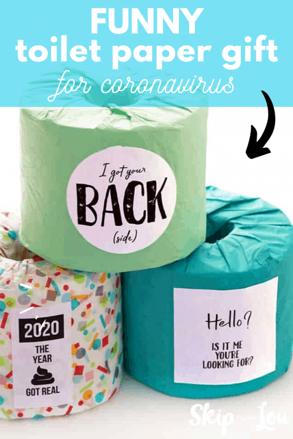 😂Funny Toilet Paper Gift for Coronavirus Skip To My Lou