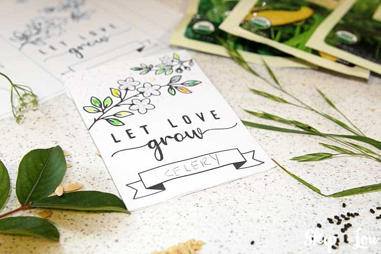 printable seed packet with seeds and leaves on table