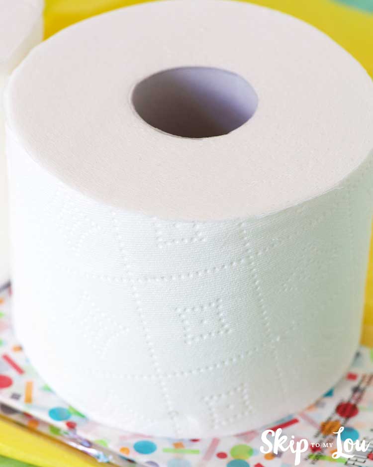 toilet paper roll