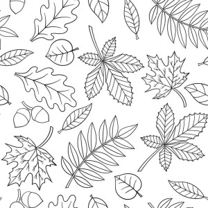 intricate leaves