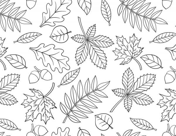 intricate leaves