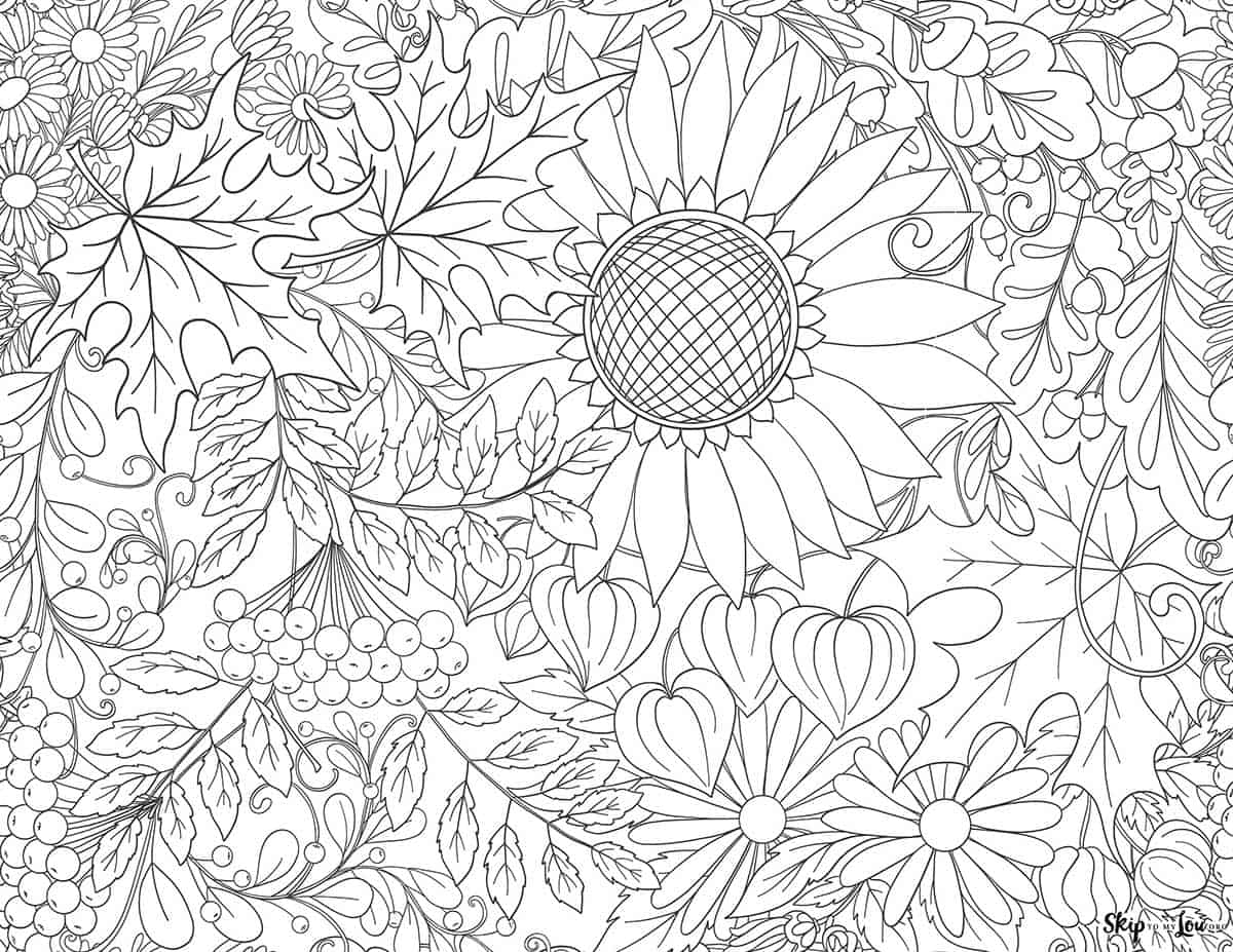 sunflower and pumpkin coloring page