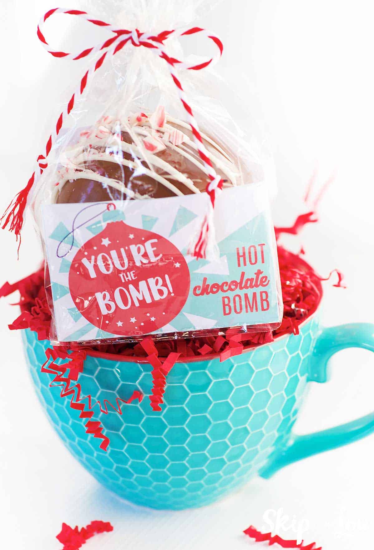 teal mug with homemade coco bomb packaged with printable label in cello bag and tied with red and white twine
