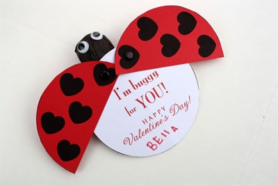 lady bug valentine