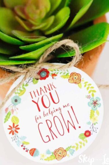 thank you for helping me grow tag on plant