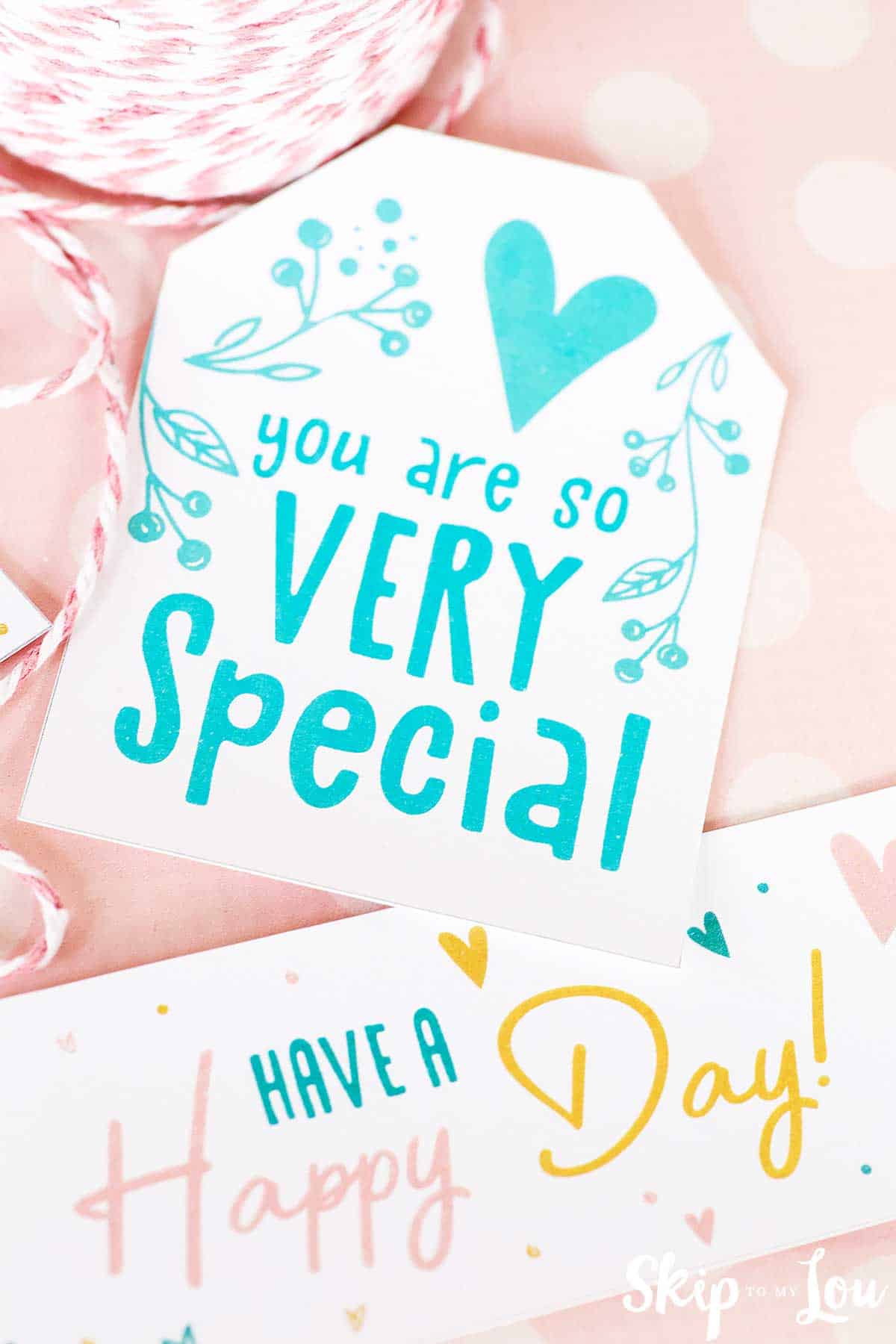 you are very special tag and have a happy day tag on pink background