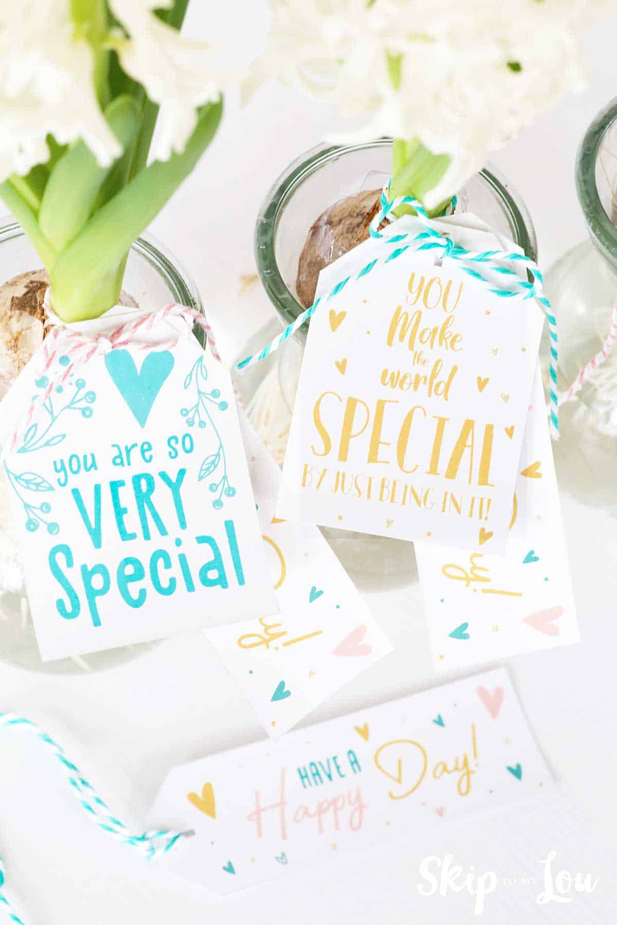 hyacinth flowers in vases with you are very special tags tied to vases with twine. 