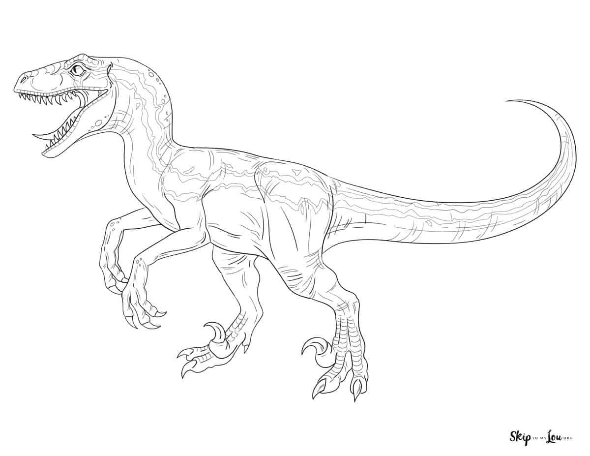 velociraptor coloring sheet