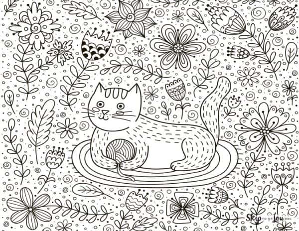 cat with yarn