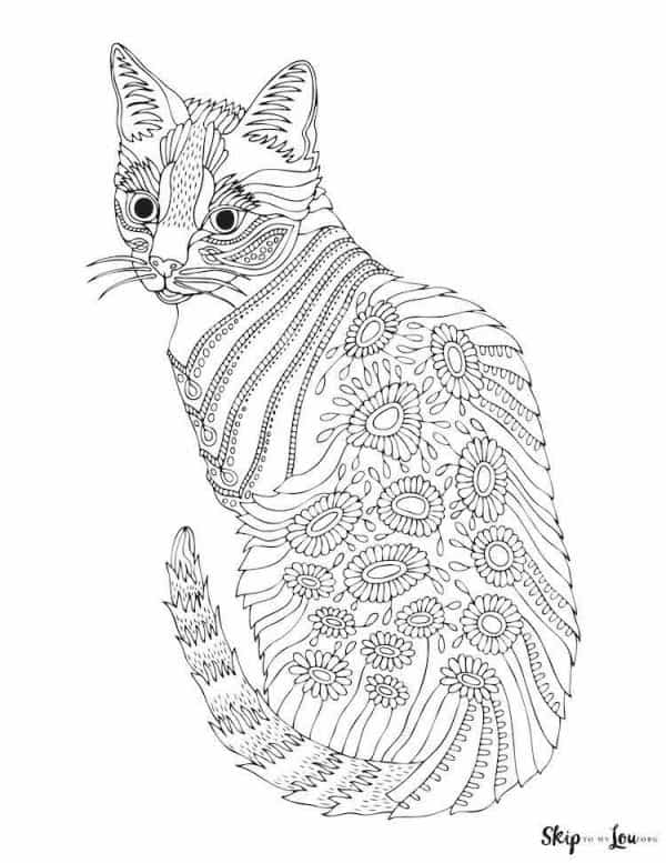 detailed cat with turned head coloring page