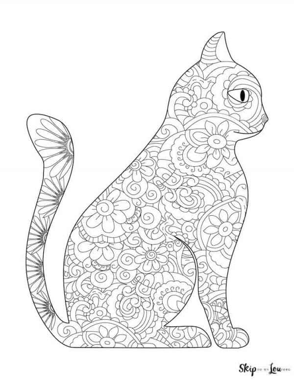 side view detailed cat