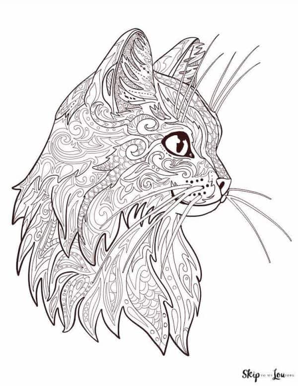 detailed cat head