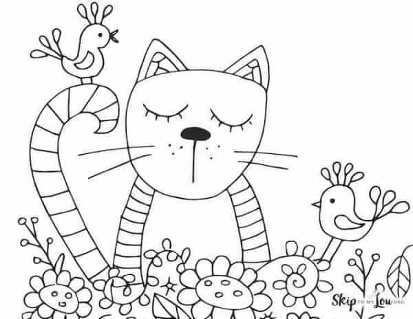 Cat with Birds