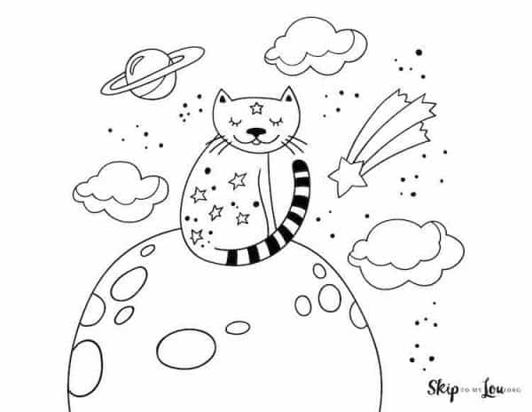 Cat in Space