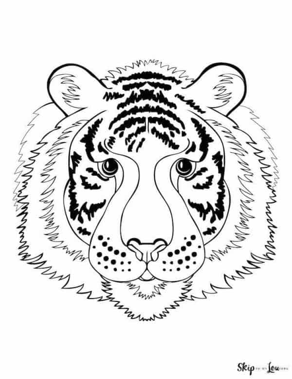 tiger head coloring page