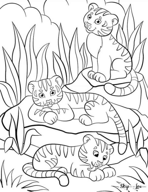 tiger cups laying in grass