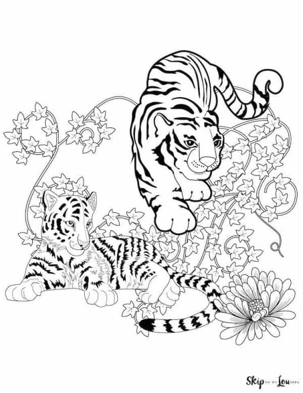 Walking and Laying Tigers