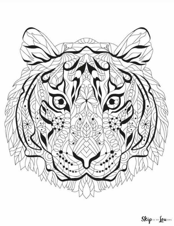 tiger head