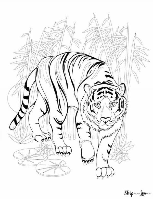 walking tiger coloring page