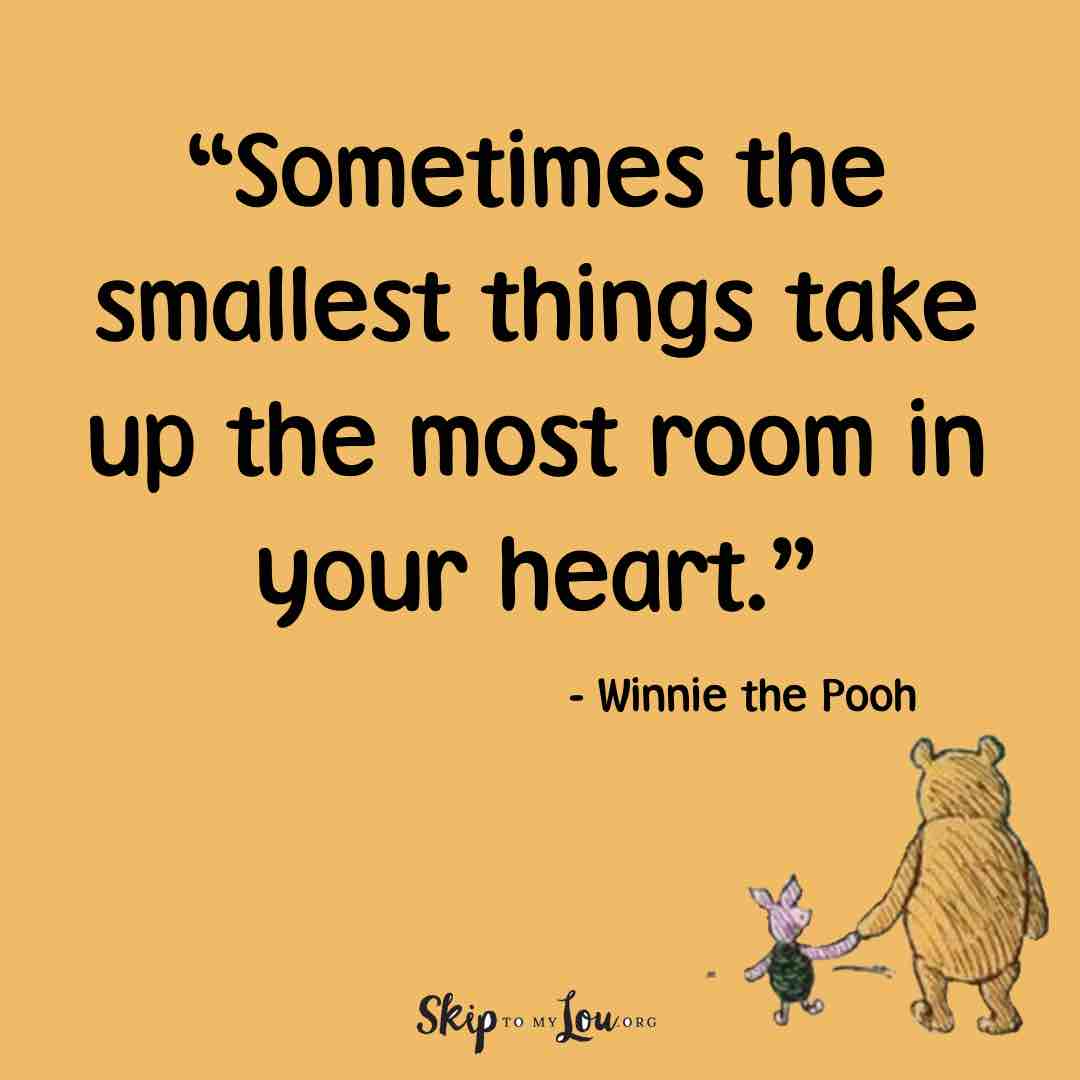 sometimes the smalled things take up the most room in your heart