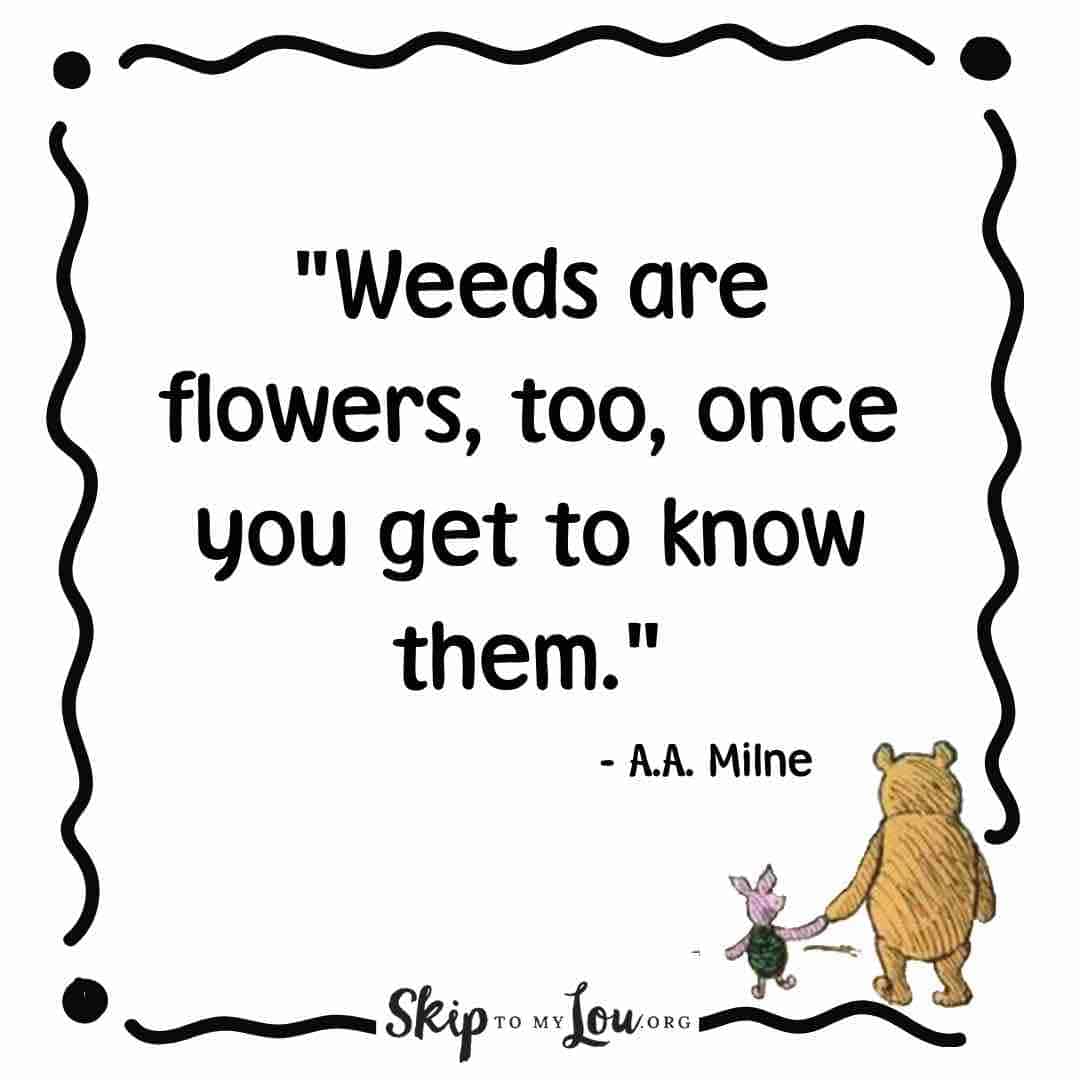 weeds are flowers winnie the pooh quotes
