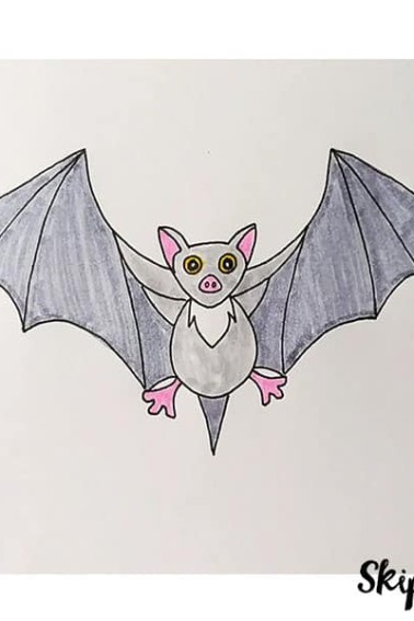 colored bat drawing