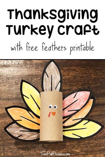 turkey feather craft
