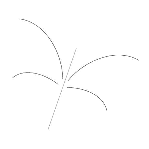 foundation lines for how to draw a butterfly
