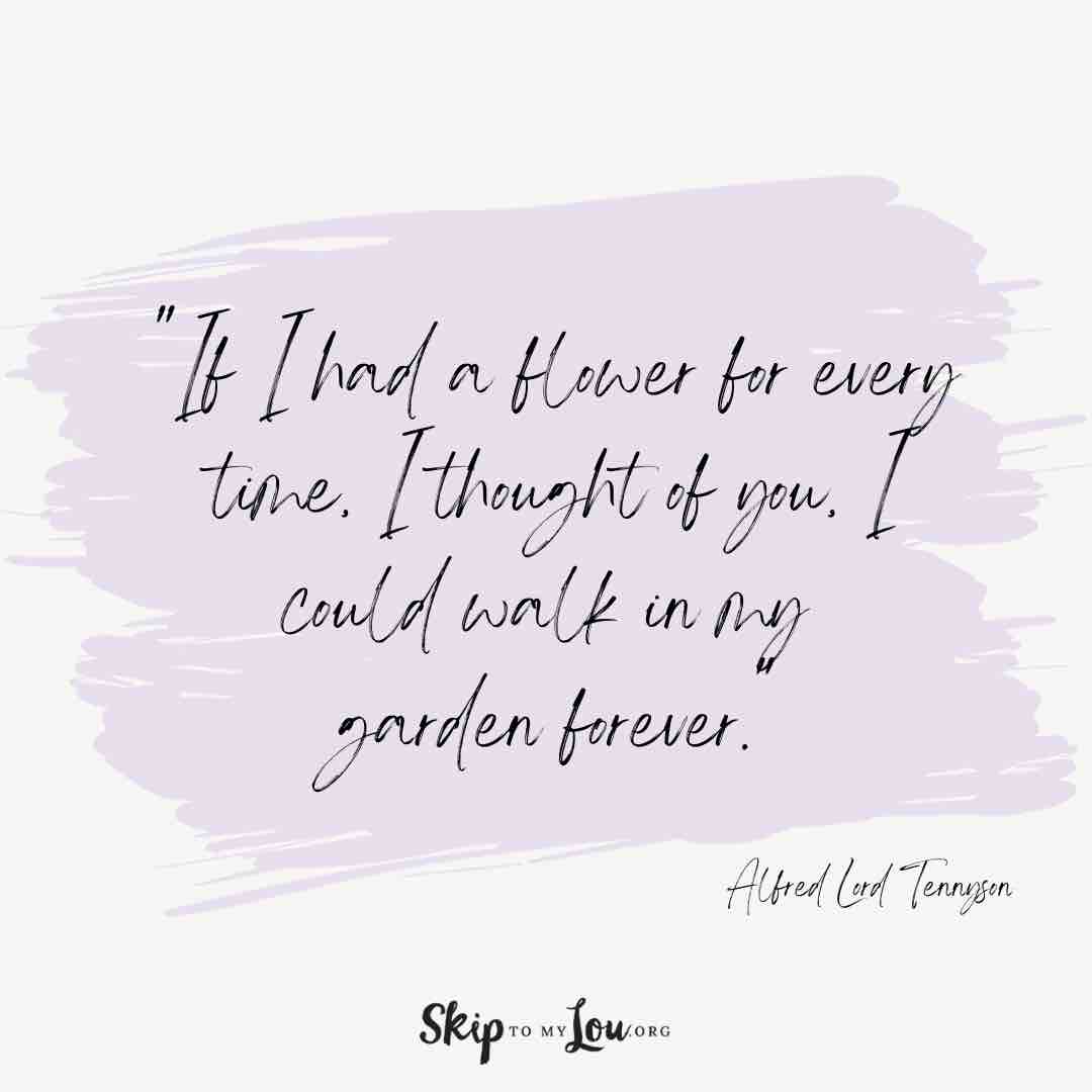if-i-had-a-flower-you-are-amazing-quotes