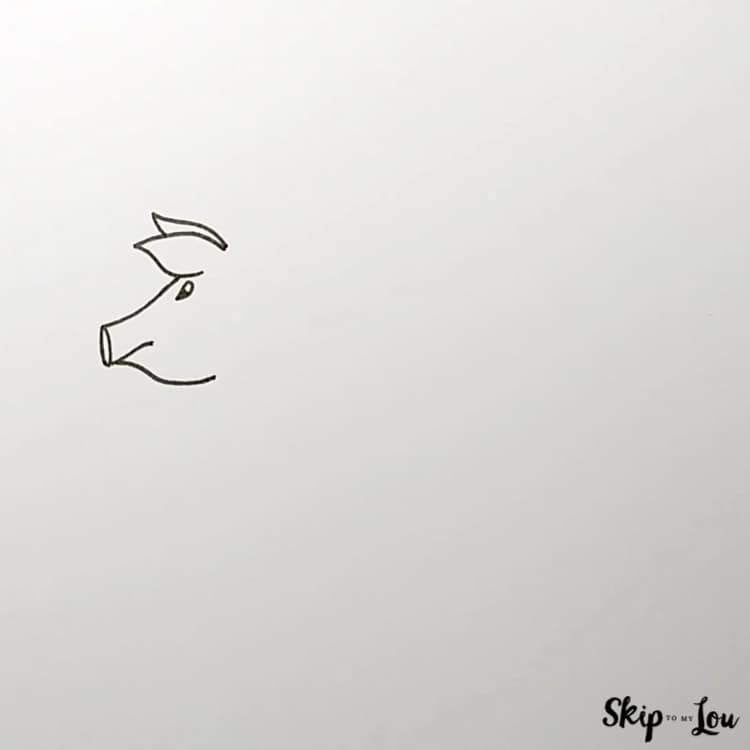 how to draw a pig first step draw the face, head, ears, and eyes