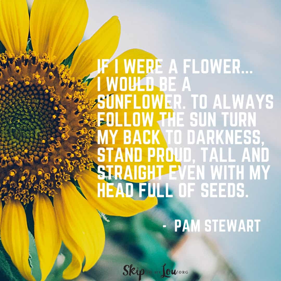 if I were a flower sunflower quote Pam Stewart
