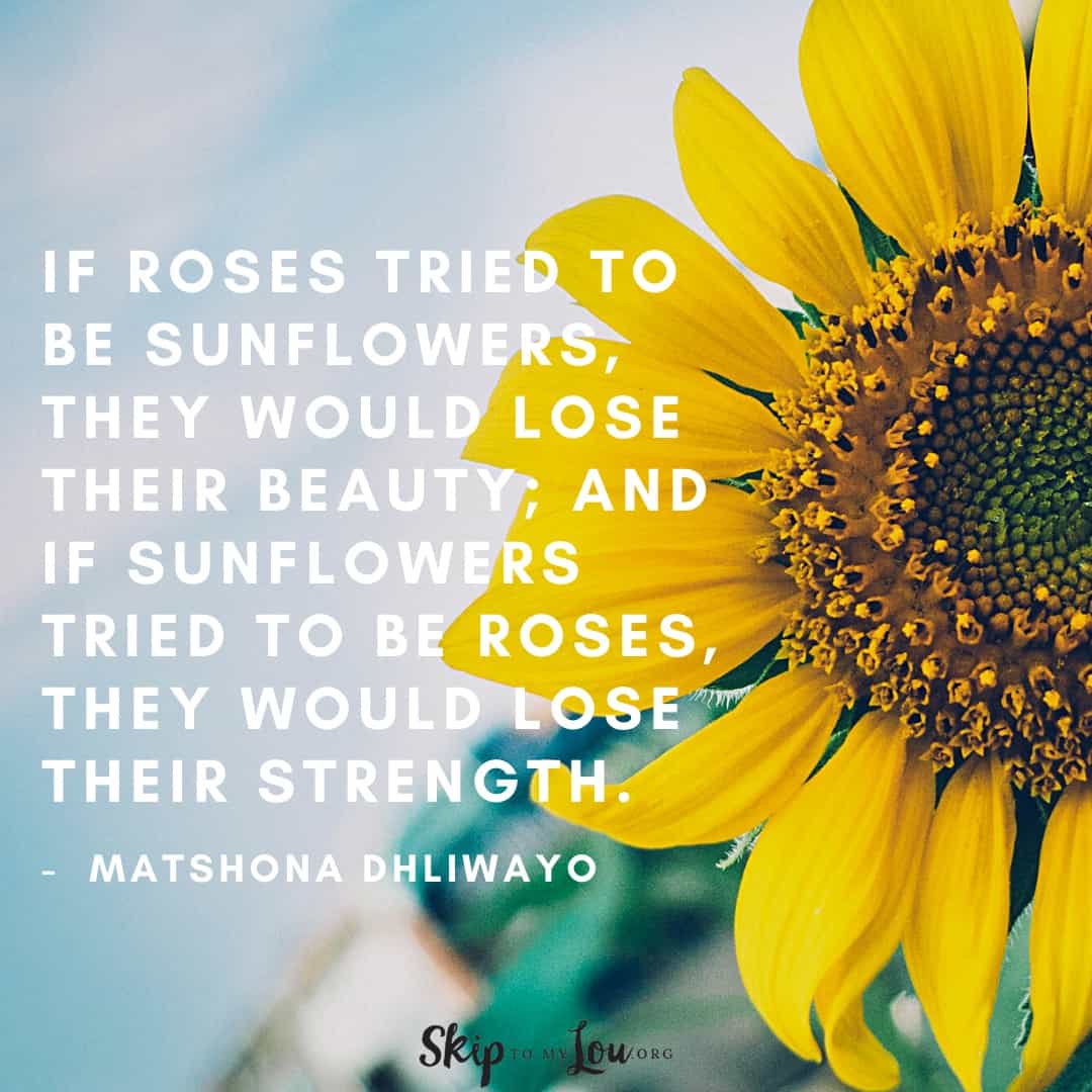 if roses tried to be sunflower quote Matshona Dhliwayo