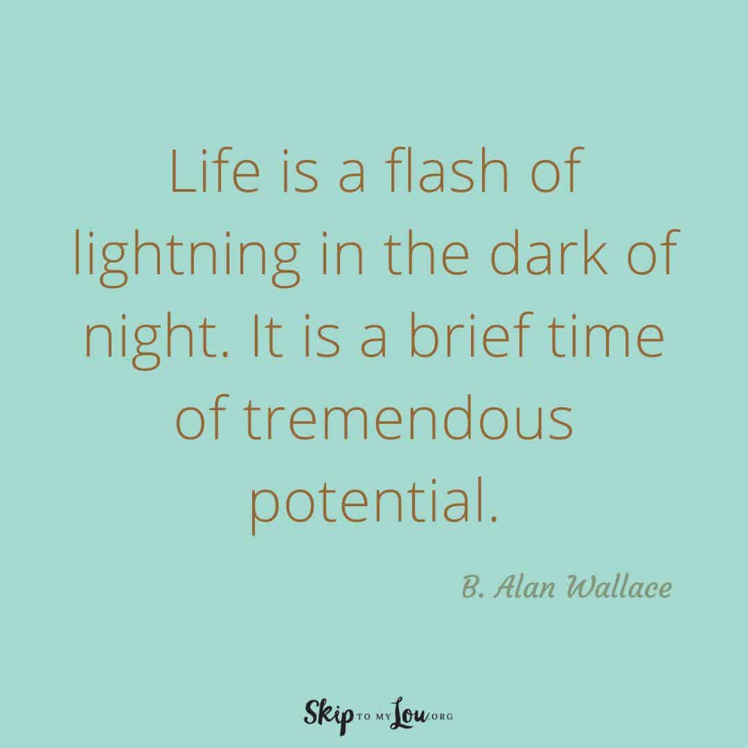 Life is a flash of lightening quote