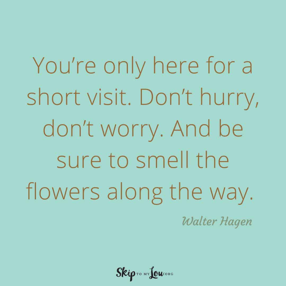 You'e only here for a short visit life is short quotes