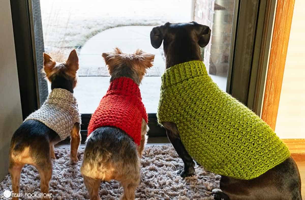 Image shows three dogs wearing crochet sweaters looking out the door. -Skip To My Lou