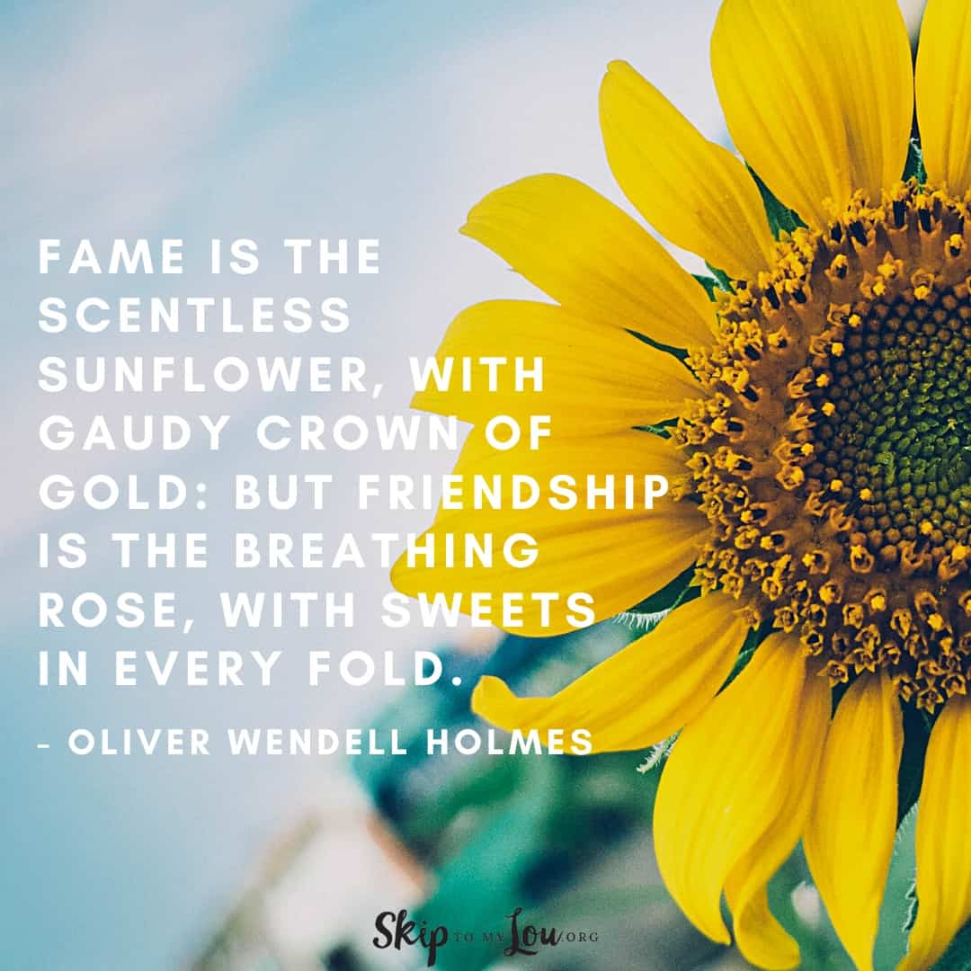 fame is the scentless sunflower quote Oliver Wendell Holmes