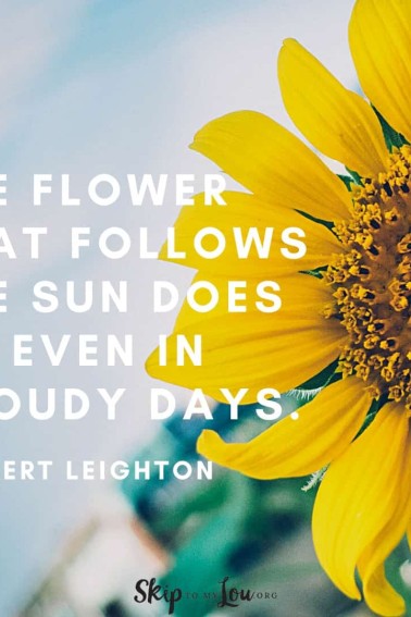 the flower that follows the sunflower quotes Robert Leighton