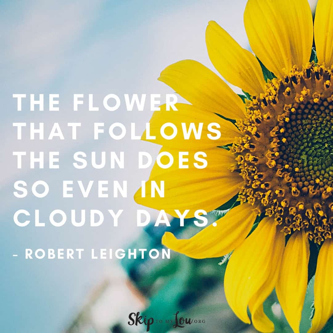 the flower that follows the sunflower quotes Robert Leighton