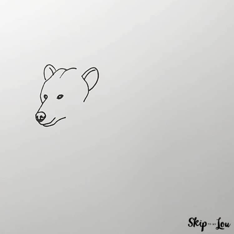 how to draw a bear adding head and ears