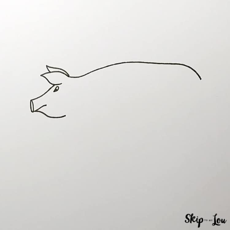 how to draw a pig back