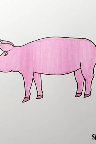 how to draw a pig step by step coloring