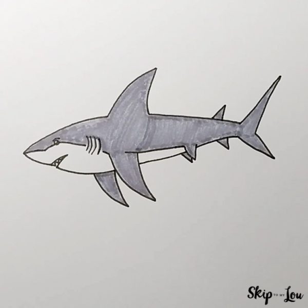 Realistic Shark Drawing
