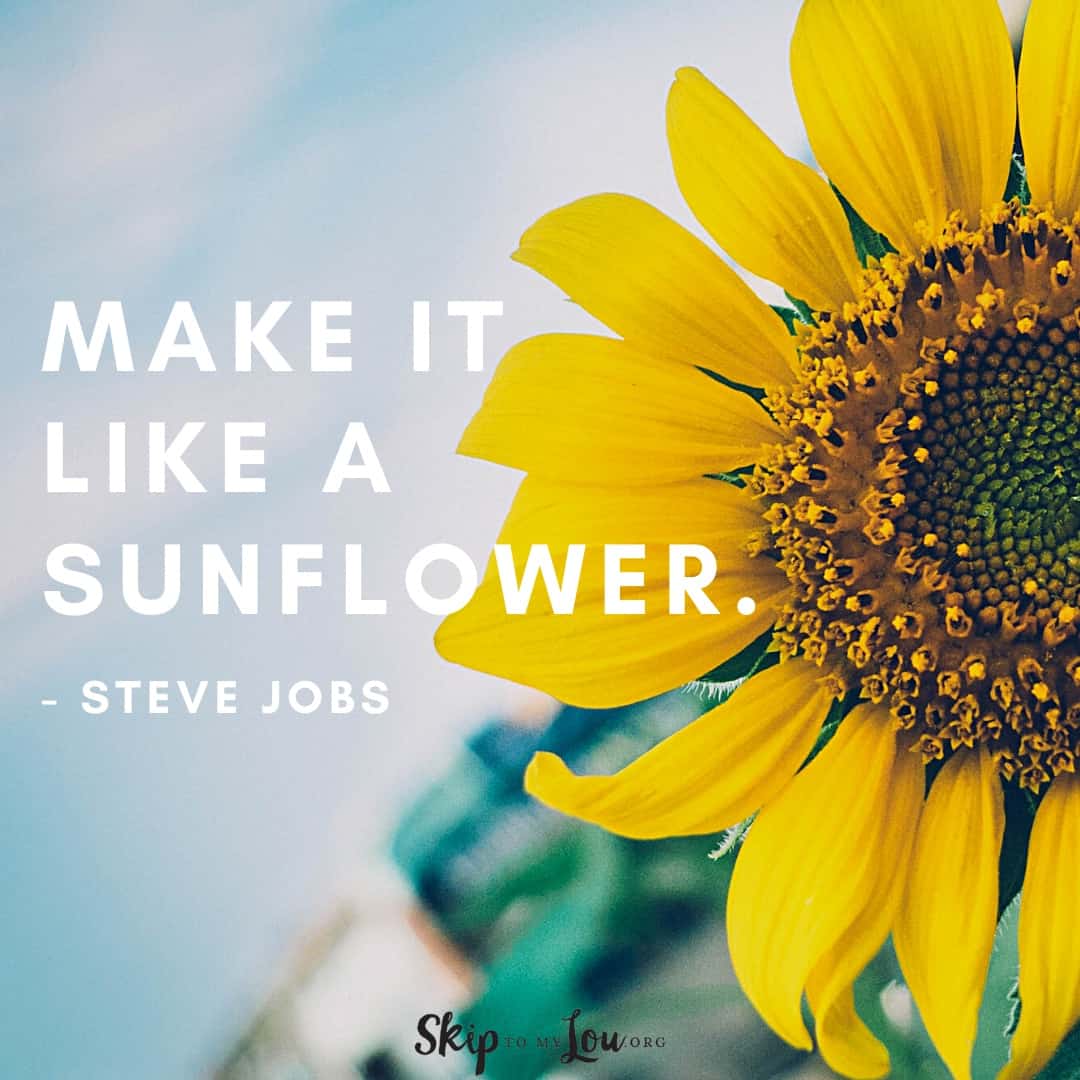 make it like a sunflower quote Steve Jobs