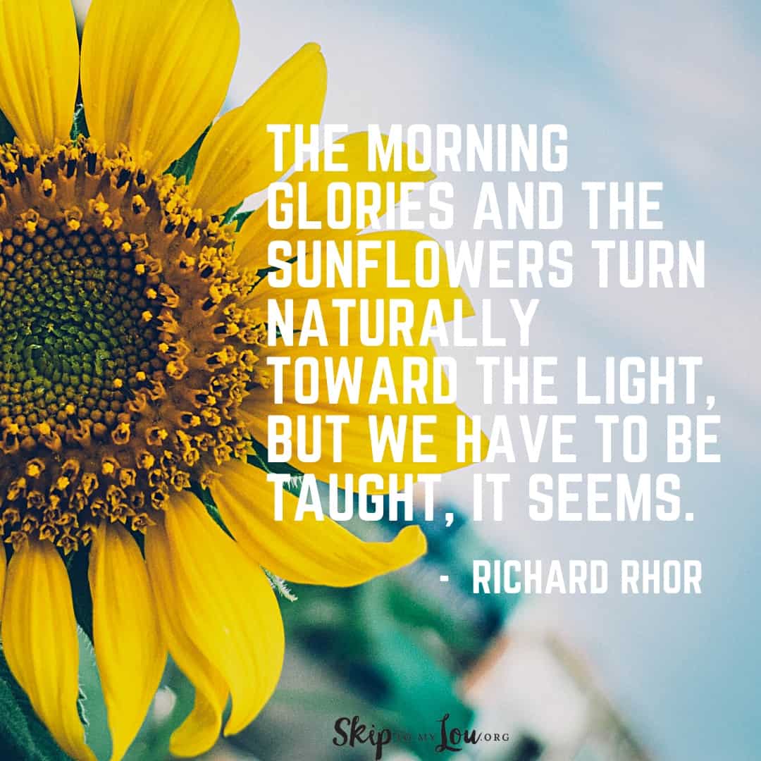 sunflower quote Richard Rhot