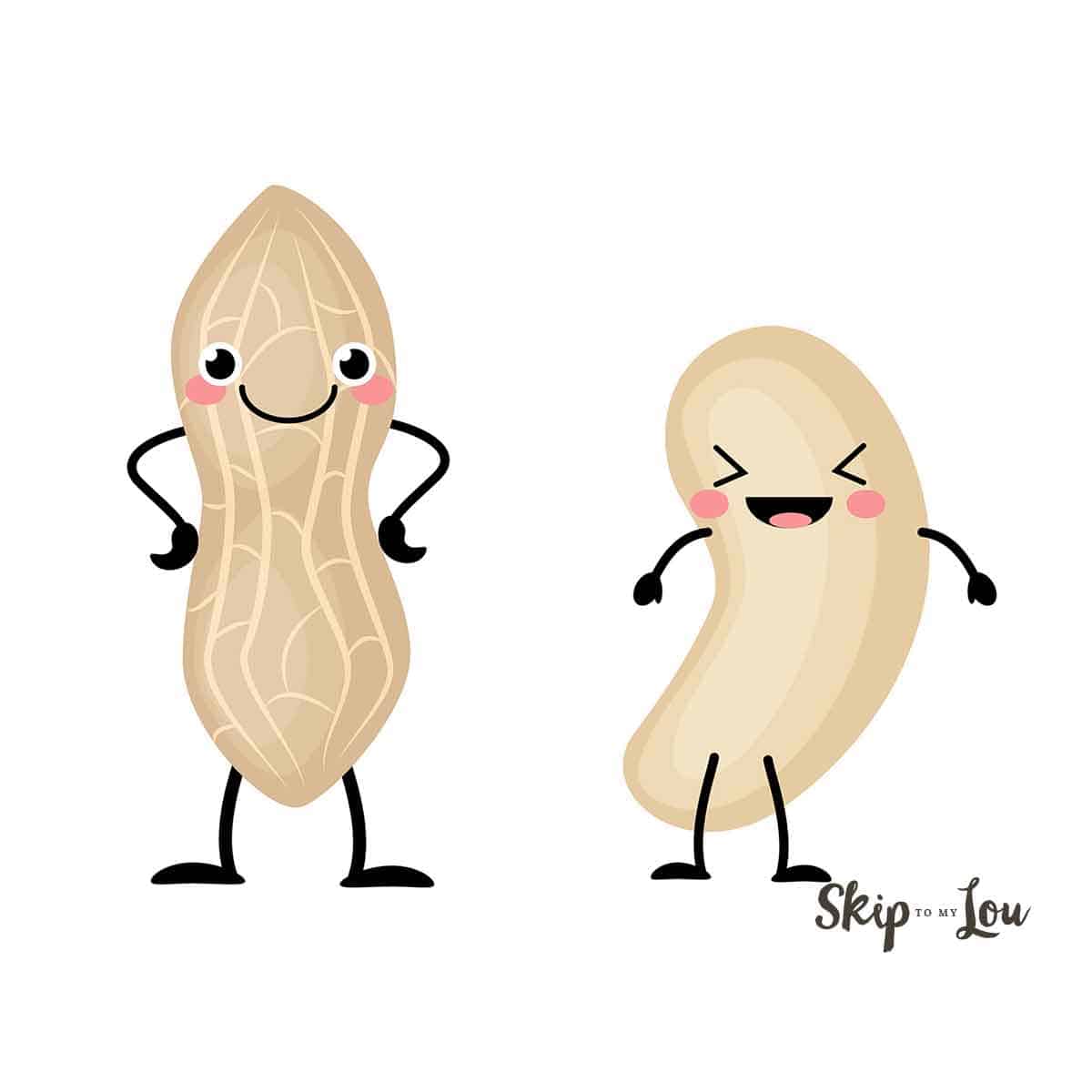 cartoon of a peanut and cashew telling nut jokes - skip to my lou.